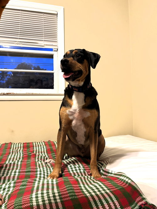 Photo of Mack