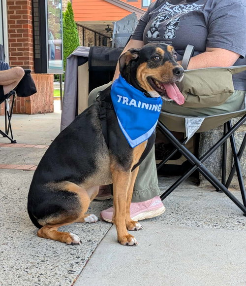 Photo of Mack