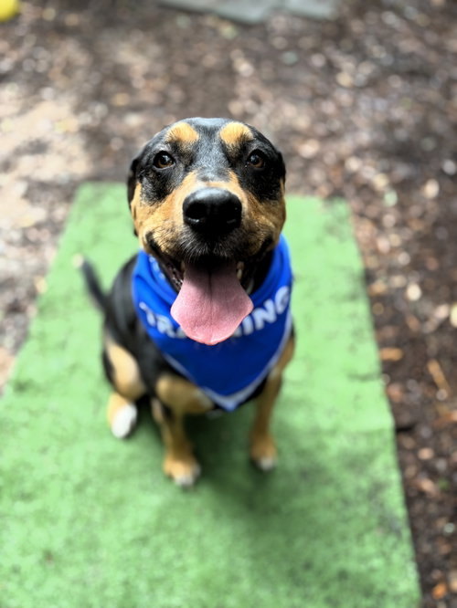 Photo of Mack