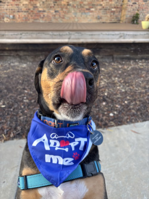 Photo of Mack