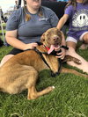 Chip - Photo 18