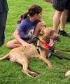 Chip - Photo 19