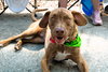 Chip - Photo 12