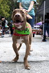 Chip - Photo 17