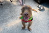 Chip - Photo 13