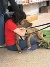 Chip - Photo 6