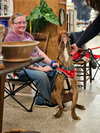 Chip - Photo 7