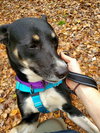 Autumn - Photo 13