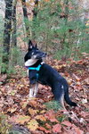 Autumn - Photo 14