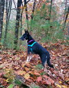 Autumn - Photo 15