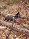 Autumn - Photo 5