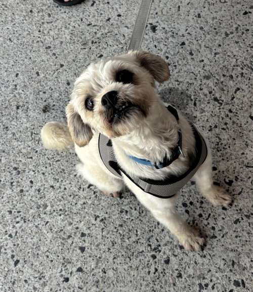 Marco photo 7