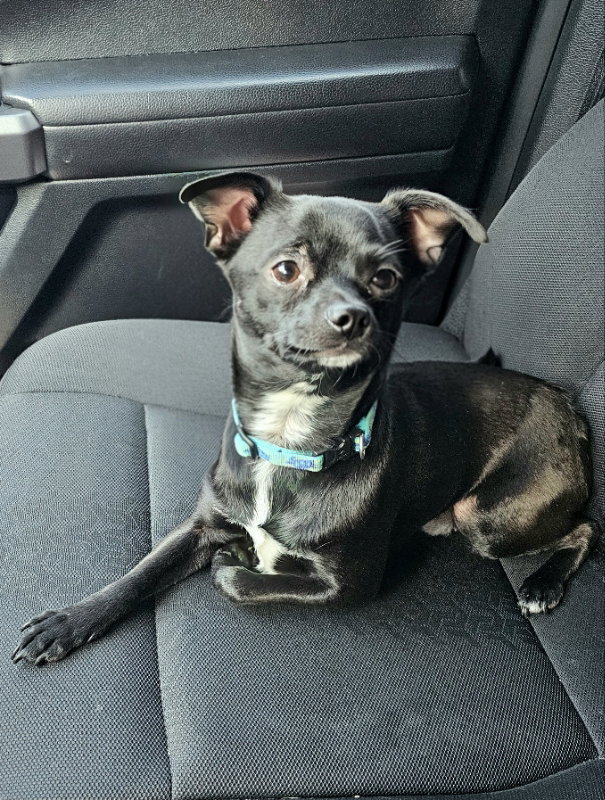 Sammy