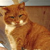 Hearty - Photo 5