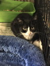 Abby - Photo 2