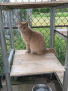 Butters - Photo 3
