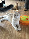 Butters - Photo 4
