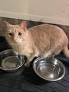 Butters - Photo 5