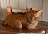 Wally - Photo 3