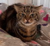 Maxine - Photo 6