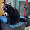 Stella - Photo 3