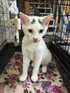 Timmy - Photo 4