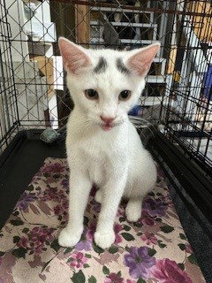 Photo 4 of Timmy