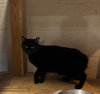 Alice - Photo 2