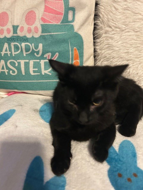 Photo 2 of Chistery
