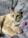 Roxie Mae - Photo 3
