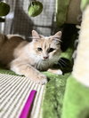 Roxie Mae - Photo 4