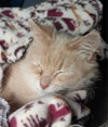 Roxie Mae - Photo 6