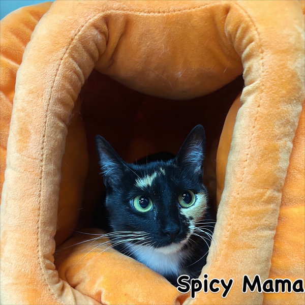 Spicy