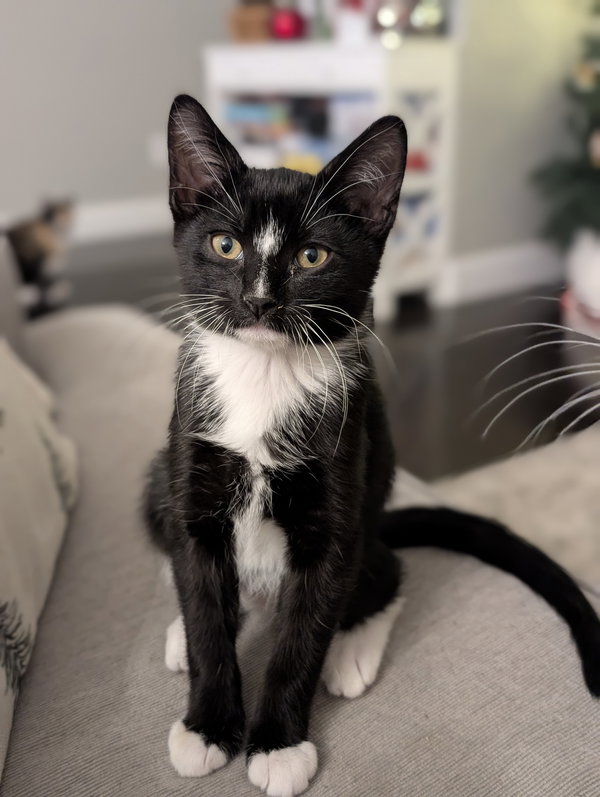 Salem