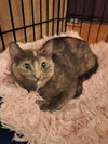 Meredith - Photo 2