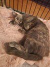 Meredith - Photo 3