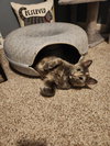Meredith - Photo 4