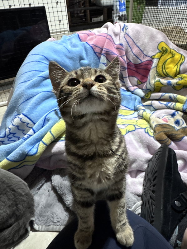 Tinker