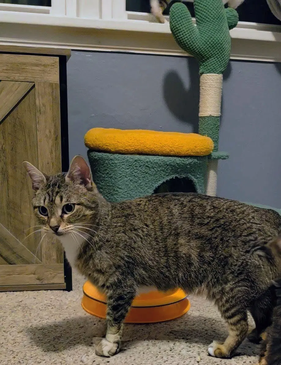 Frannie image 2