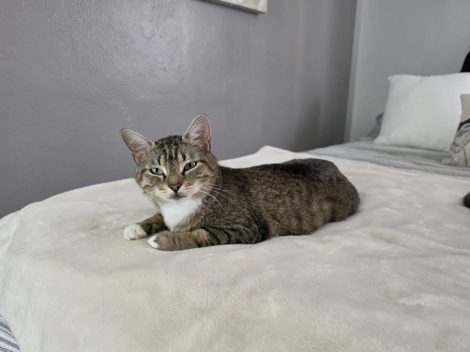 Frannie image 4
