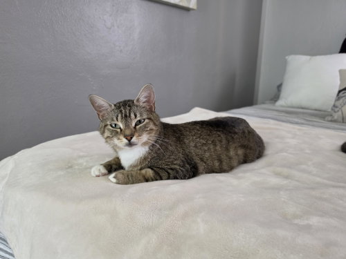 Photo 4 of Frannie