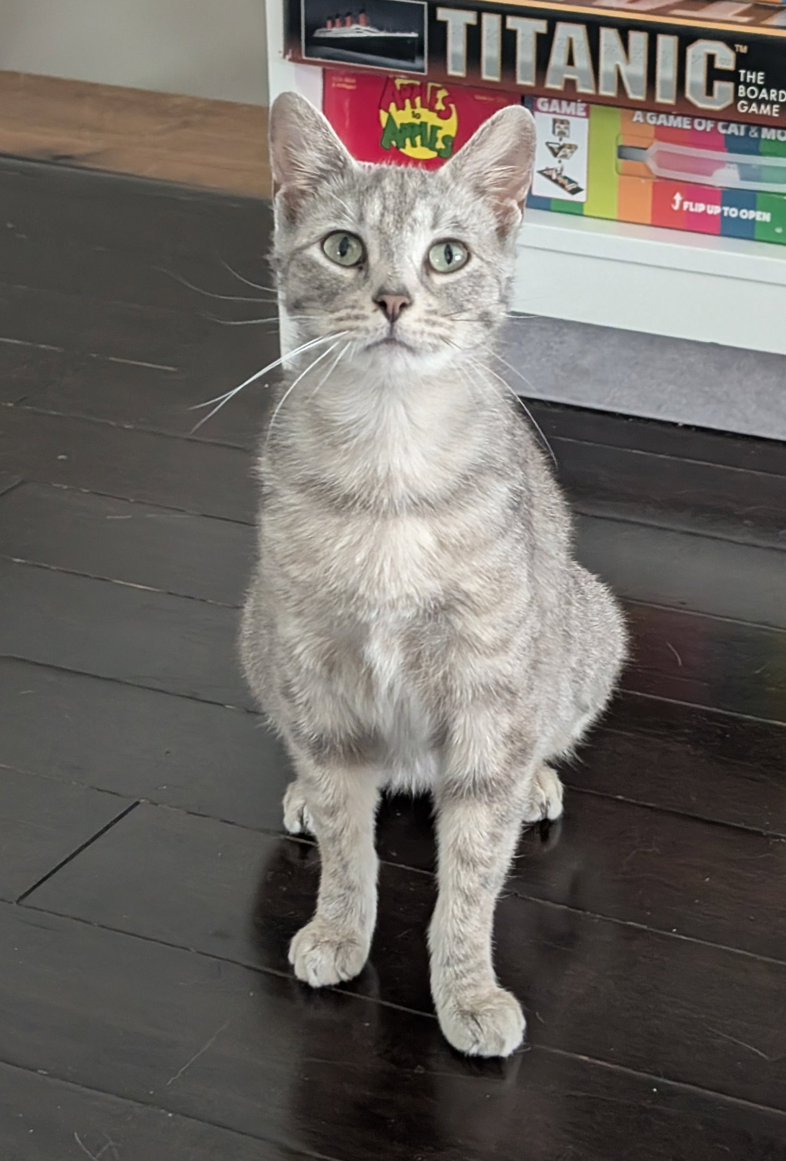 Meredith