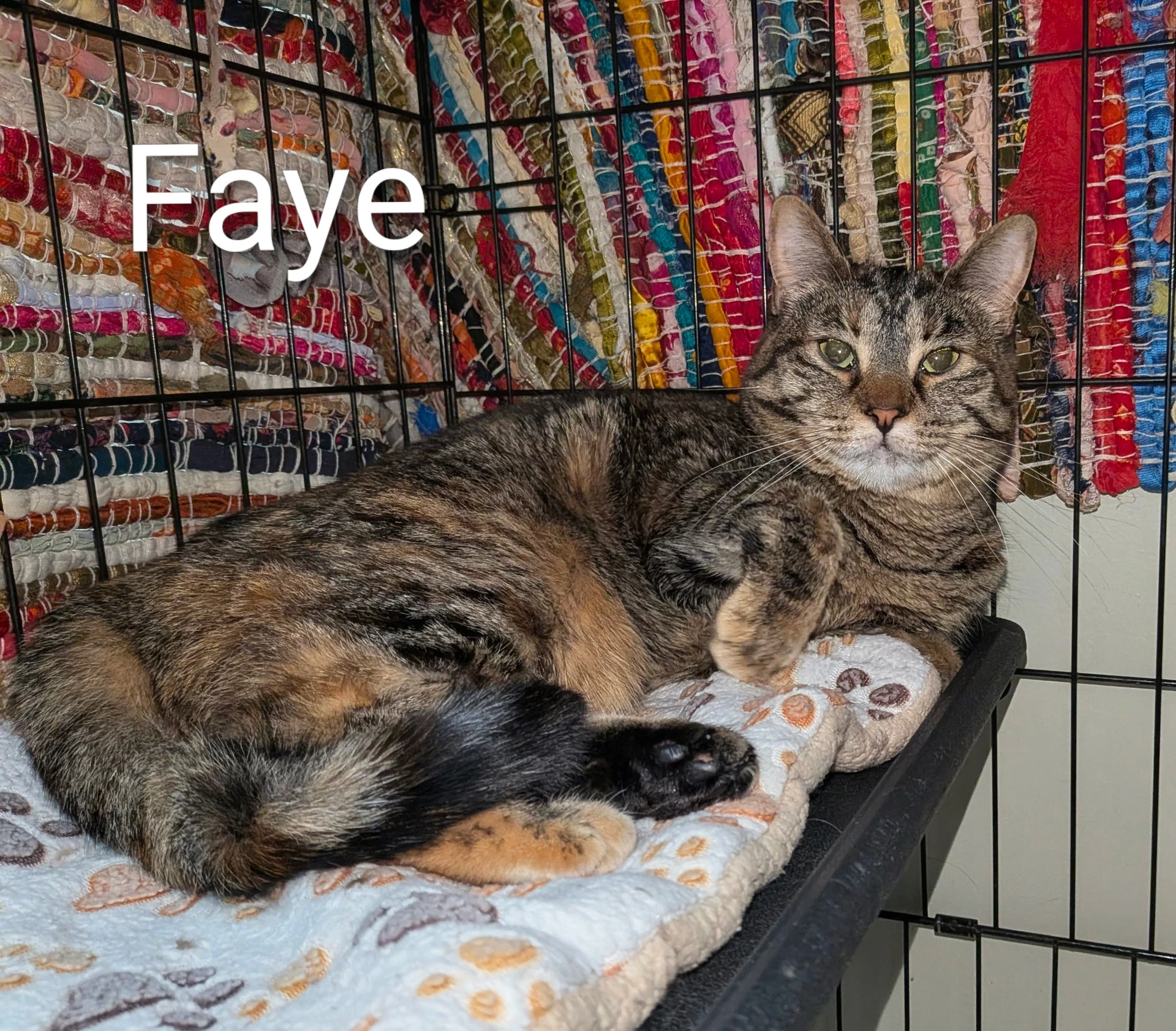 Faye