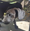 WINNIE - Photo 1