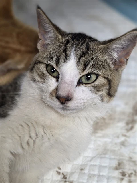 Pretty Boy