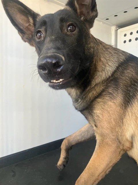 Max