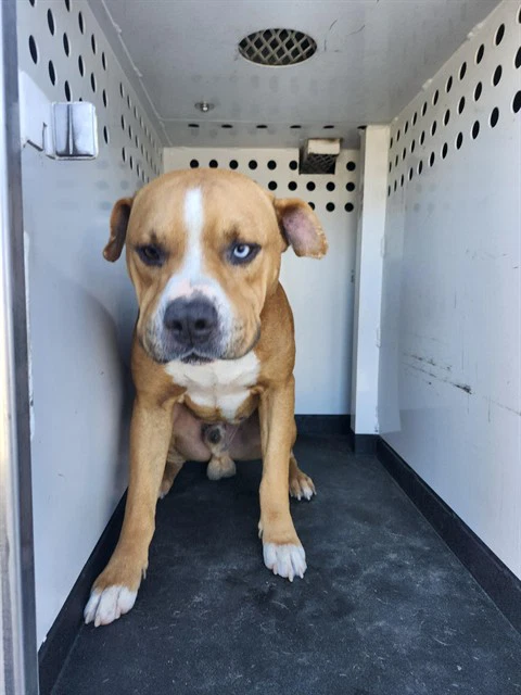 Max