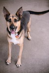 Evie - Photo 4