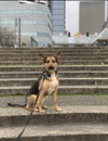 Evie - Photo 21