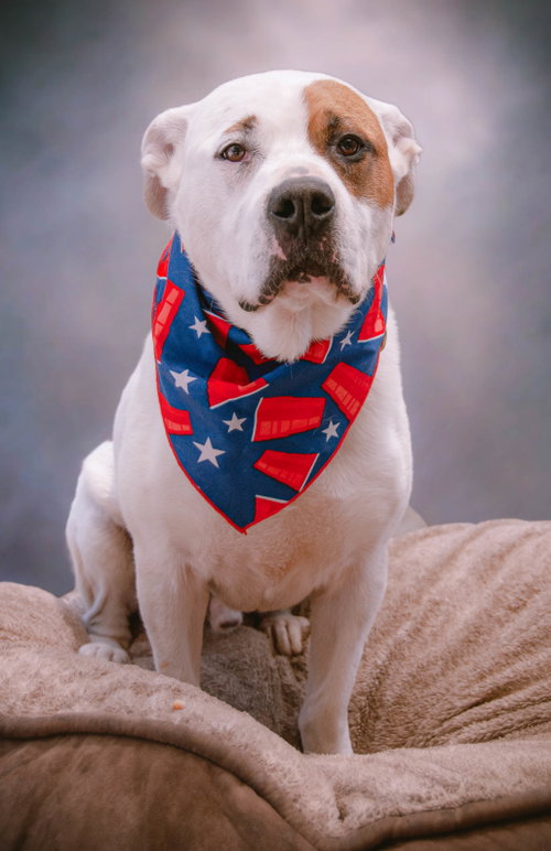 Sporty Spots, photo 15